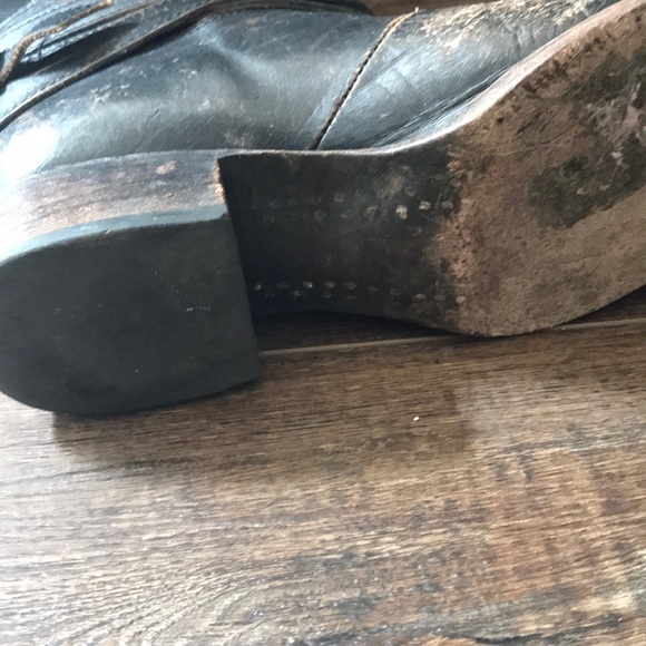 Freebird by Steven Drove - Picture 6 of 6